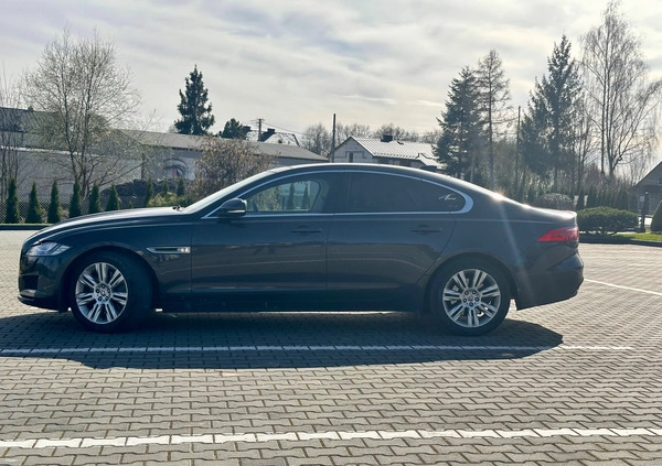 Jaguar XF cena 80000 przebieg: 115509, rok produkcji 2016 z Kraków małe 704